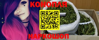 бошки Сланцы