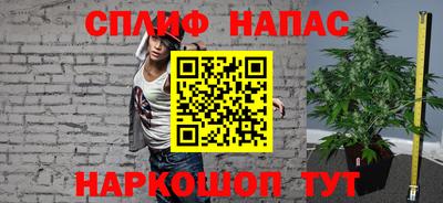 бошки Сланцы