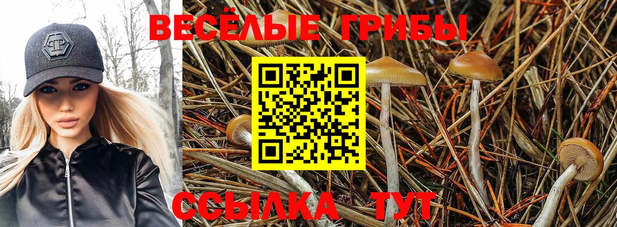 закладка  Вход с VPN  Наро-Фоминск  Галлюциногенные грибы мухоморы 